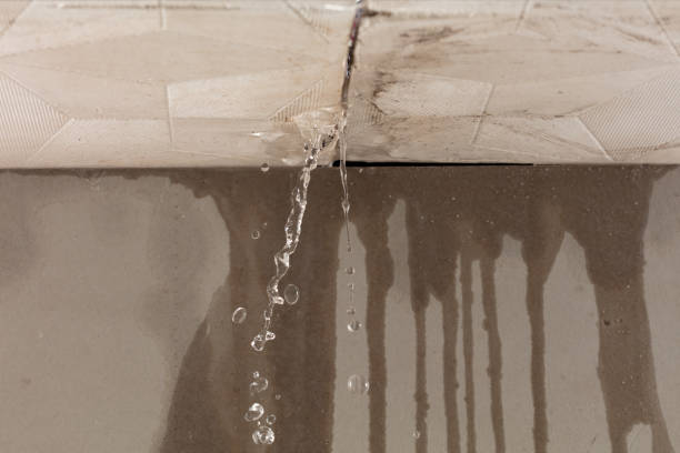 Professional Structural Drying technician working in Blue Creek, OH